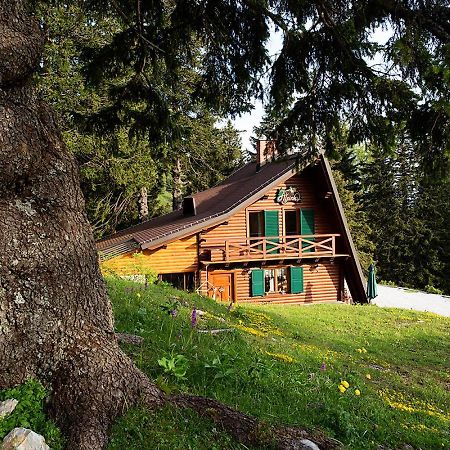 Chalet Alpinka 서클리예나고렌스켐 외부 사진