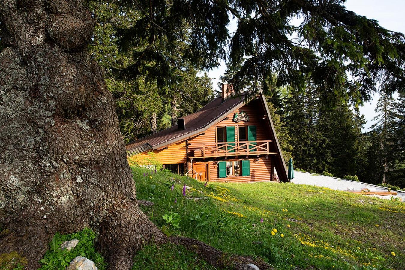 Chalet Alpinka 서클리예나고렌스켐 외부 사진